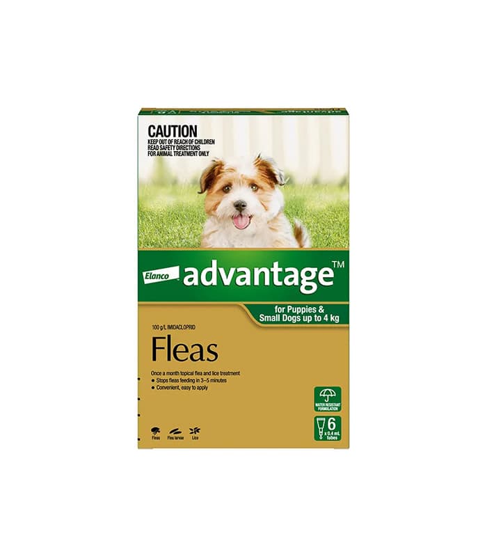 pet-product-dogs-health-2-0.jpg مزیت سبز برای سگ کوچک - تصویر 1